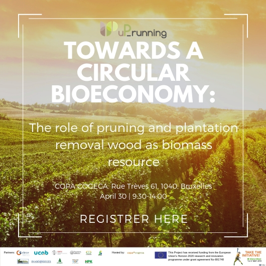 30 de abril de 2019: evento final del proyecto uP_running en Bruselas: «Hacia una BIOeconomía circular en los sectores de la fruta, el olivo y el vino: el rol de la madera de poda y renovación de plantaciones como biomasa”